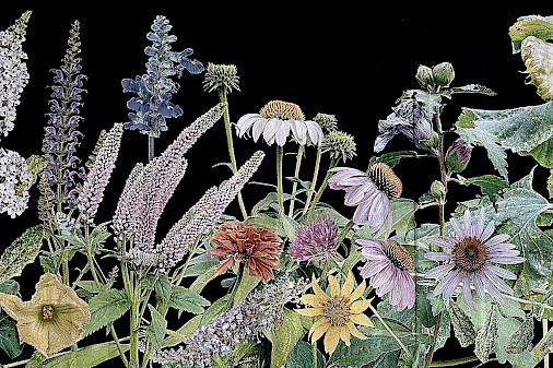 Photo of a woven tapestry artwork by Heidi Carlsen Rogers depicting flowers on a black background.