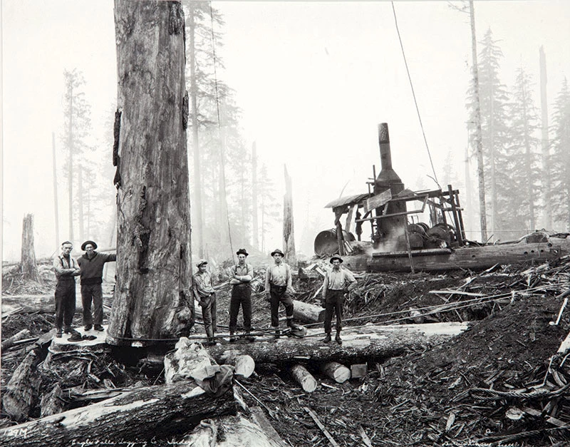 Black and white photograph of loggers in a forest by Darius Kinsey.