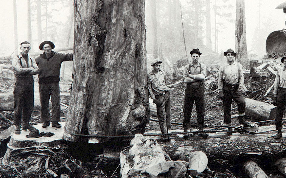 Black and white photo of loggers in a forest by Darius Kinsey.