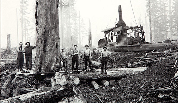 Black and white photo of loggers in a forest by Darius Kinsey.