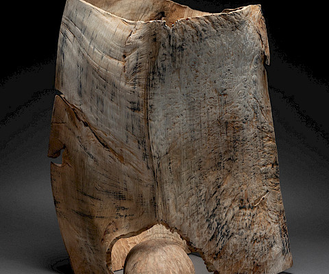Michael Peterson (Wichita Falls, Texas, 1952 - ), "Arbutus," 2004, chainsawn, sandblasted, bleached, and pigmented madrone burl, 10 x 17 x 17 in., Arkansas Museum of Fine Arts Foundation Collection: Purchased with a gift from John and Robyn Horn. 2004.032.ab.