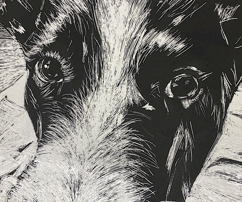 Teacher's Choice: Enid C., "Homer," scratchboard, Eighth Grade, Harding Academy, Art Educator: Margaret Lake.