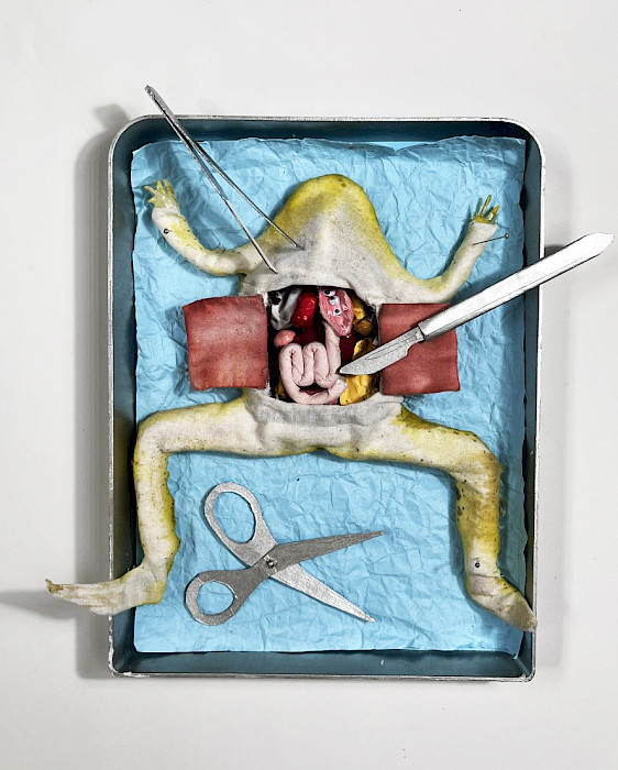 Best In Class: Allie S., "Dissection," mixed media soft sculpture, Tenth Grade, Parkview Arts & Science Magnet High School, Art Educator: Matt TerAvest.