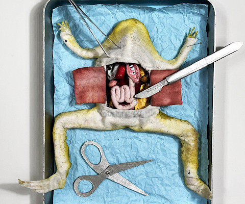 Best In Class: Allie S., "Dissection," mixed media soft sculpture, Tenth Grade, Parkview Arts & Science Magnet High School, Art Educator: Matt TerAvest.